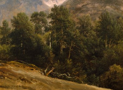 Forêt de Romsdal - Thomas Fearnley