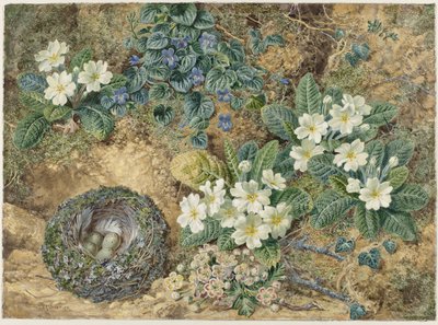 Nature morte d