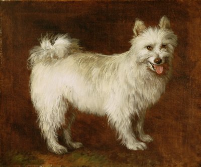 Chien Spitz - Thomas Gainsborough