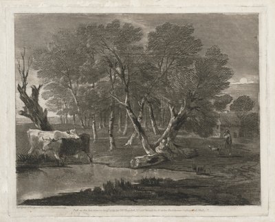Paysage boisé avec vaches près d