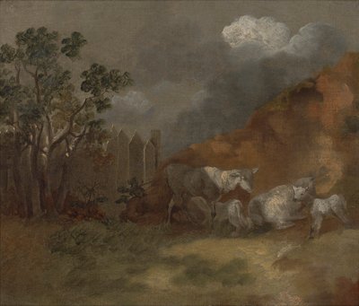 Moutons et agneaux près d