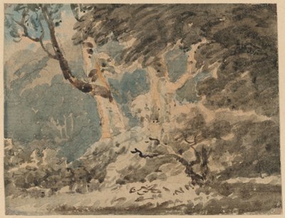 La lisière d