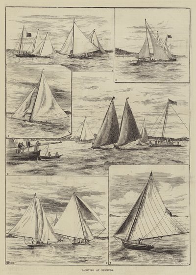 Yachting aux Bermudes - Thomas Harrington Wilson