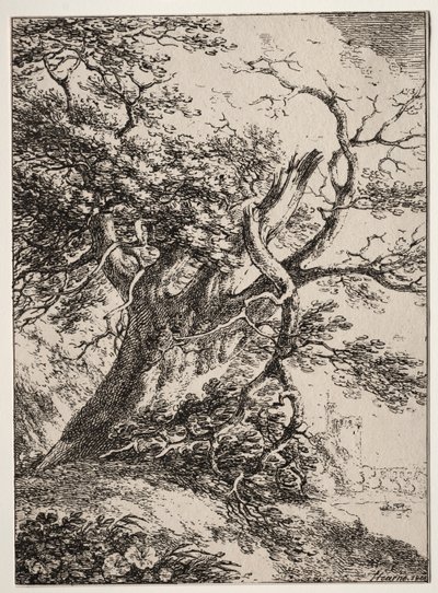 Spécimens de Polyautographie: Paysage avec un chêne - Thomas Hearne