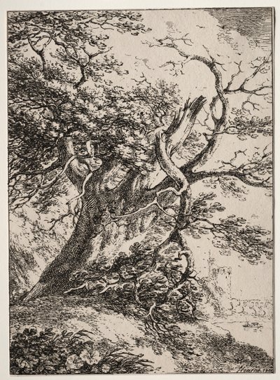 Spécimens de polyautographie: Paysage avec un chêne - Thomas Hearne
