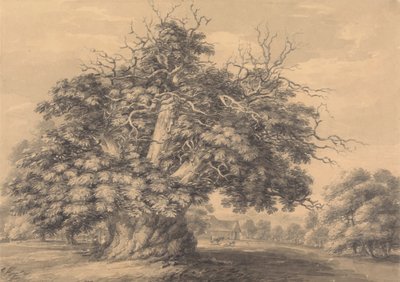 Le châtaignier à Little Wymondley, Hertfordshire - Thomas Hearne