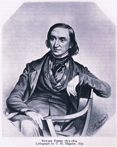 Edward Forbes (1815-1854), Nature en Grande-Bretagne publiée par Collins, 1946 - Thomas Herbert Maguire
