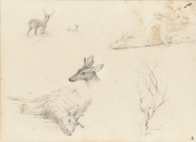 Carnet de croquis de paysages et sujets animaliers - Thomas Hewes Hinckley