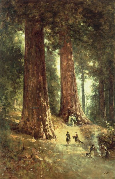 Dans les séquoias, 1899 - Thomas Hill