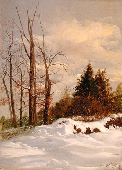 Paysage d