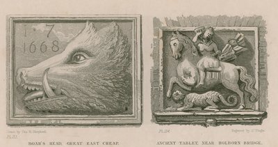 Tête de sanglier et tablette ancienne - Thomas Hosmer Shepherd