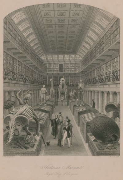 Musée Hunterian, Collège royal des chirurgiens, Londres - Thomas Hosmer Shepherd