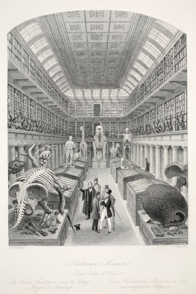 Musée Hunterian, Royal College of Surgeons, de 