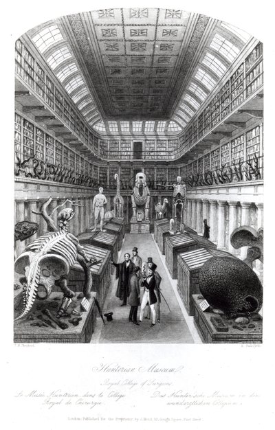 Le musée Hunterian, illustration de 