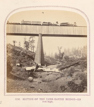 Section du pont de Long Ravine - Thomas Houseworth