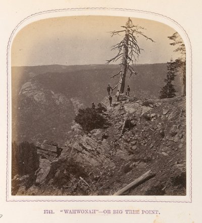 "Wahwonah" - ou Big Tree Point - Thomas Houseworth