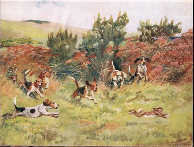 Chasse au lièvre, illustration de 