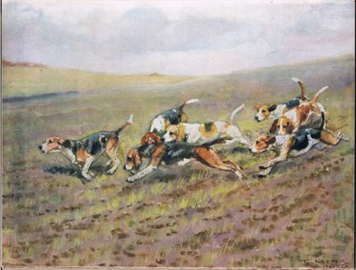 Traversée des champs, illustration de 