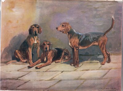 Chiens, illustration de 