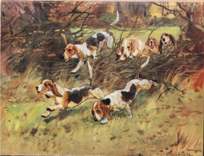 À travers la haie, illustration de 