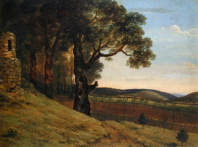 Paysage gallois avec chênes près d
