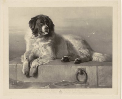 Portrait du chien de sauvetage Bob, couché sur une jetée - Thomas Landseer