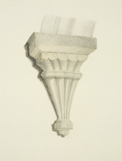 Corbeau de l