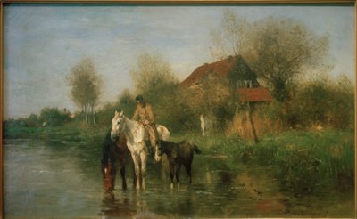 Chevaux près de l