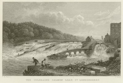 Le saut du saumon de Coleraine - Thomas Mann Baynes