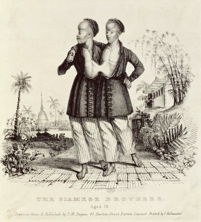 Les frères siamois, âgés de 18 ans, imprimé par Charles Hullmandel, vers 1829 - Thomas Mann Baynes