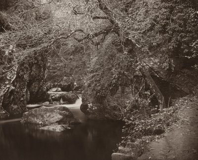 Le trou de Dargle, vers 1865 - Thomas Marcus Brownrigg