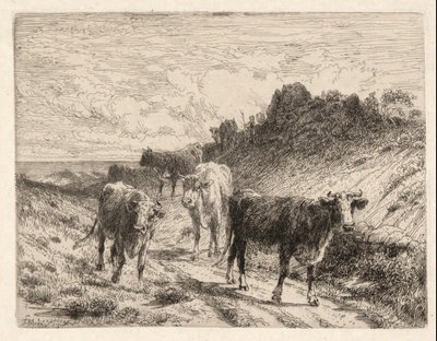 Vaches - Thomas Moran