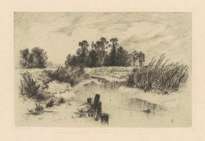 Dans les prés de Newark - Thomas Moran