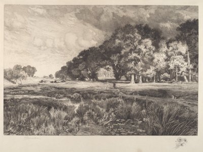 Paysage de Long Island - Thomas Moran
