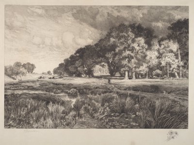 Paysages de Long Island - Thomas Moran