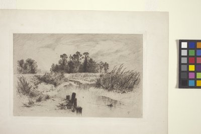 Paysage marécageux avec ruisseau - Thomas Moran