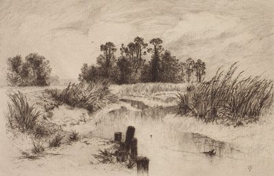 Paysage marécageux avec ruisseau - Thomas Moran