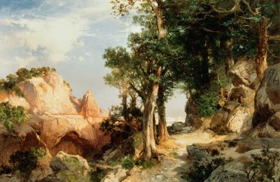 Sur le sentier des baies - Grand Canyon de l