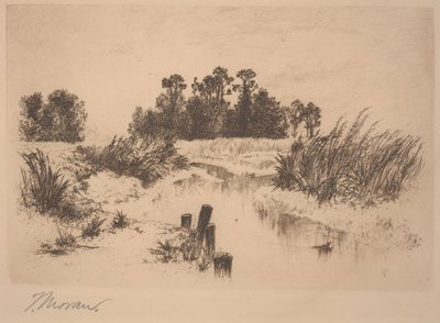 Passaic Meadows (dans les Newark Meadows) - Thomas Moran