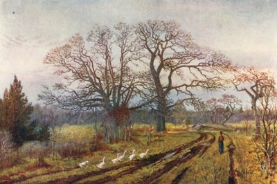  - Thomas Mower Martin