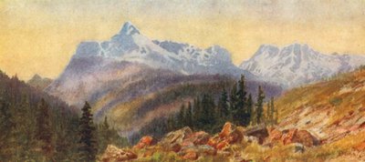  - Thomas Mower Martin
