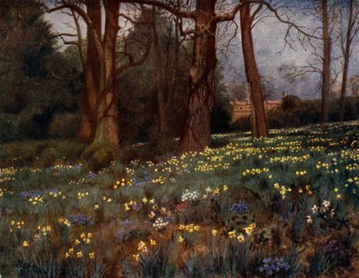 Kew Gardens : Le Jardin Sauvage au Printemps - Thomas Mower Martin