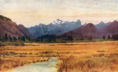  - Thomas Mower Martin
