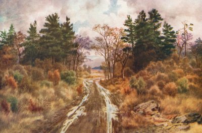Route près de la baie de Fundy, automne (lithographie couleur) - Thomas Mower Martin
