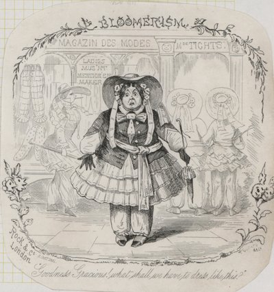 Mode féminine victorienne : pantalons bouffants - Thomas Onwhyn