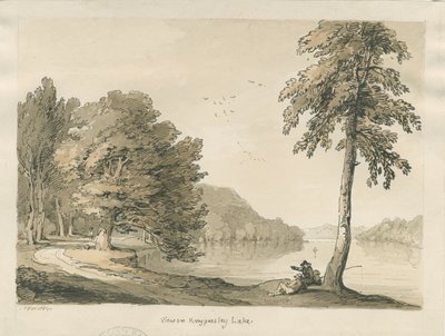 Biddulph Moor - Les Bride-Stones - Thomas Peploe Wood