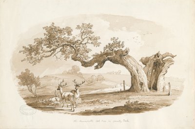 Chartley Hall - Parc : dessin à la sépia (vignetté) - Thomas Peploe Wood