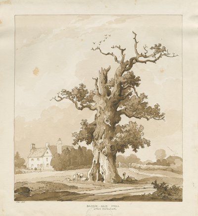 Ancien Hall de Baden à Eccleshall - Thomas Peploe Wood