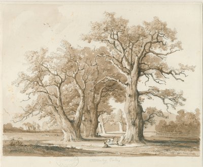 Teddesley Hall - Chênes: dessin au crayon et au lavis, nd [nov 1842] - Thomas Peploe Wood
