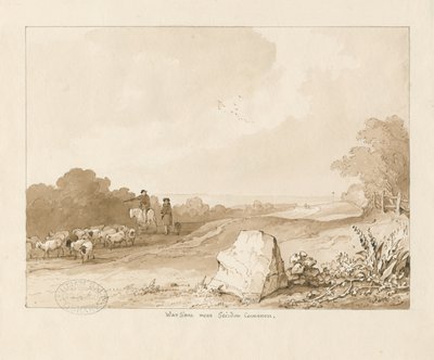 Trysull - "Pierre de guerre près de Seisdon Common" - Thomas Peploe Wood